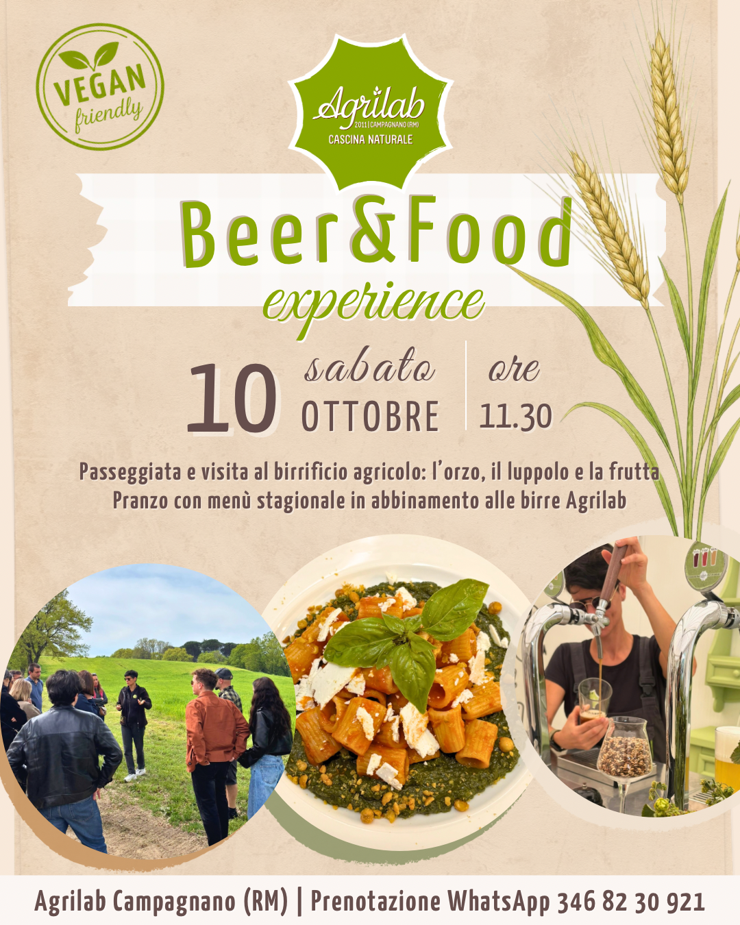Beer&Food experience